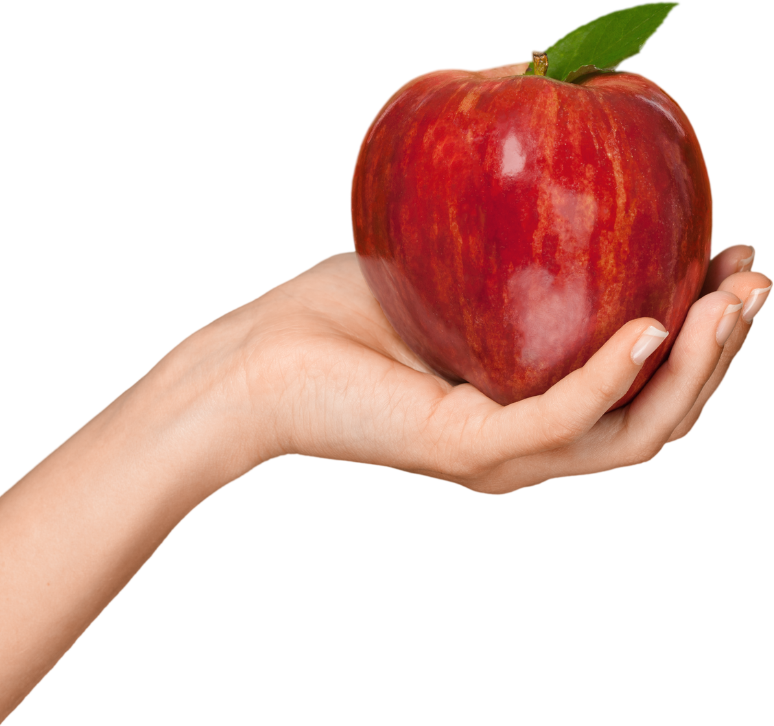 Red Apple on Hand